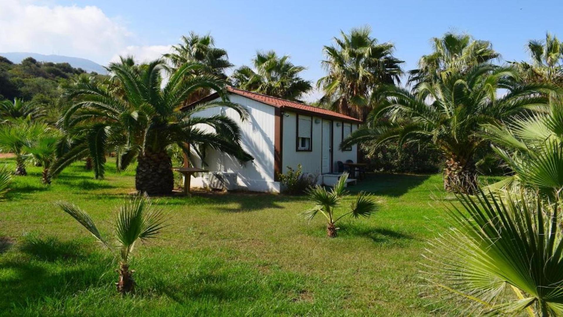 La Palma Beachfront Suites Georgioupoli Exteriör bild